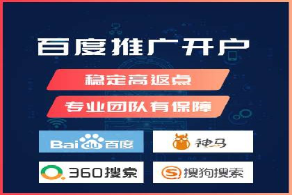 百度竞价广告投放全解析：成功案例揭秘
